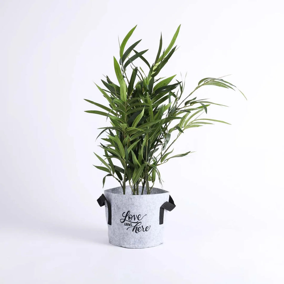 Grow Bag Love Grey - Handles - 1 Gallon