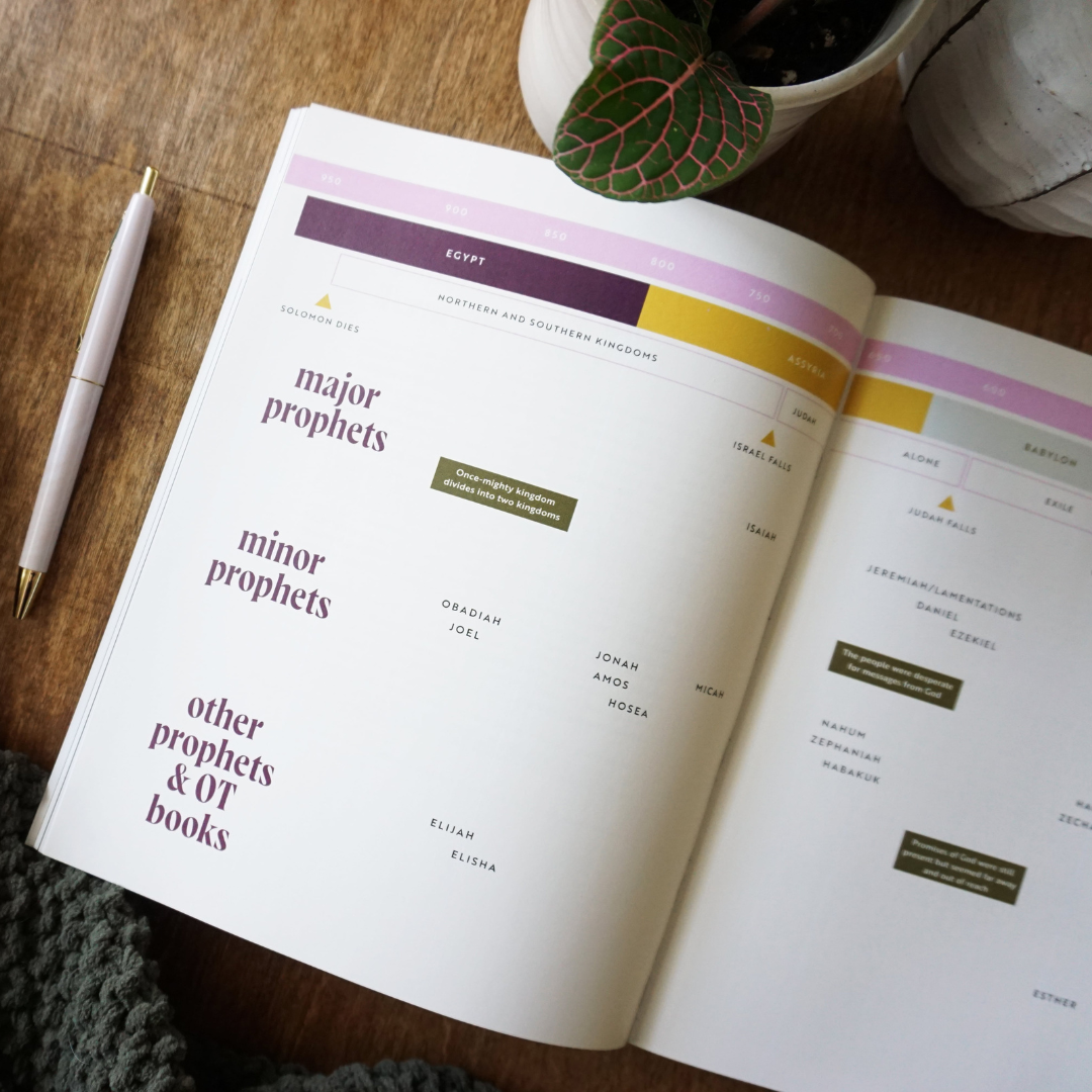 30 Days with Jesus Bible Study Guide: Experiencing His Presence throughout the Old and New Testaments, product view 9