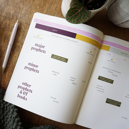 30 Days with Jesus Bible Study Guide: Experiencing His Presence throughout the Old and New Testaments, product view 9