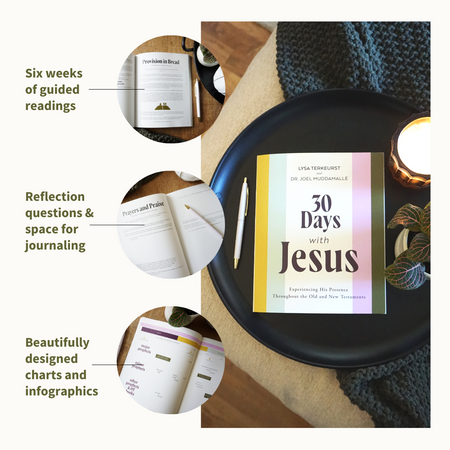 30 Days with Jesus Bible Study Guide: Experiencing His Presence throughout the Old and New Testaments, product view 8