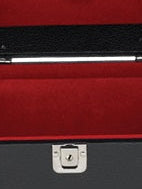 Chalice Case