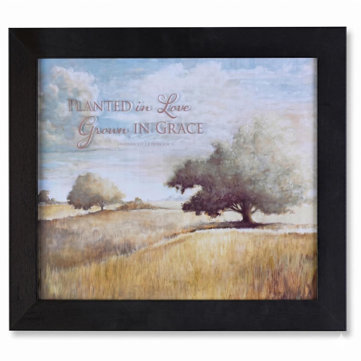 Framed Wall Art Planted Love Grown Grace by Dicksons