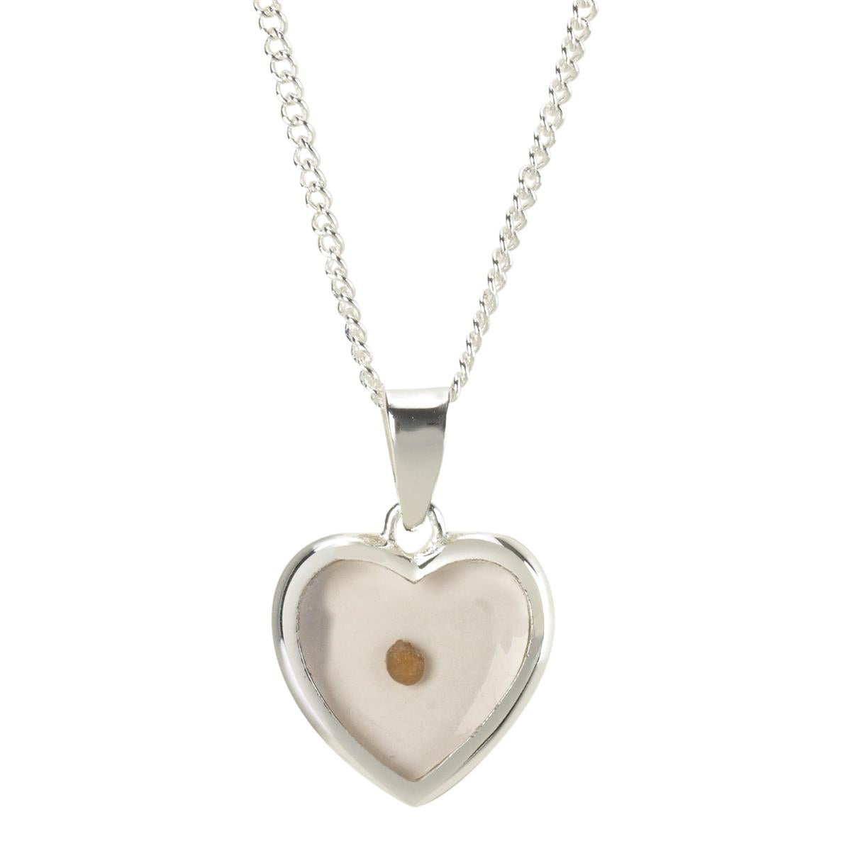 Mustard Seed Heart Women's 18 Inch Silver-Plated Necklace by Dicksons