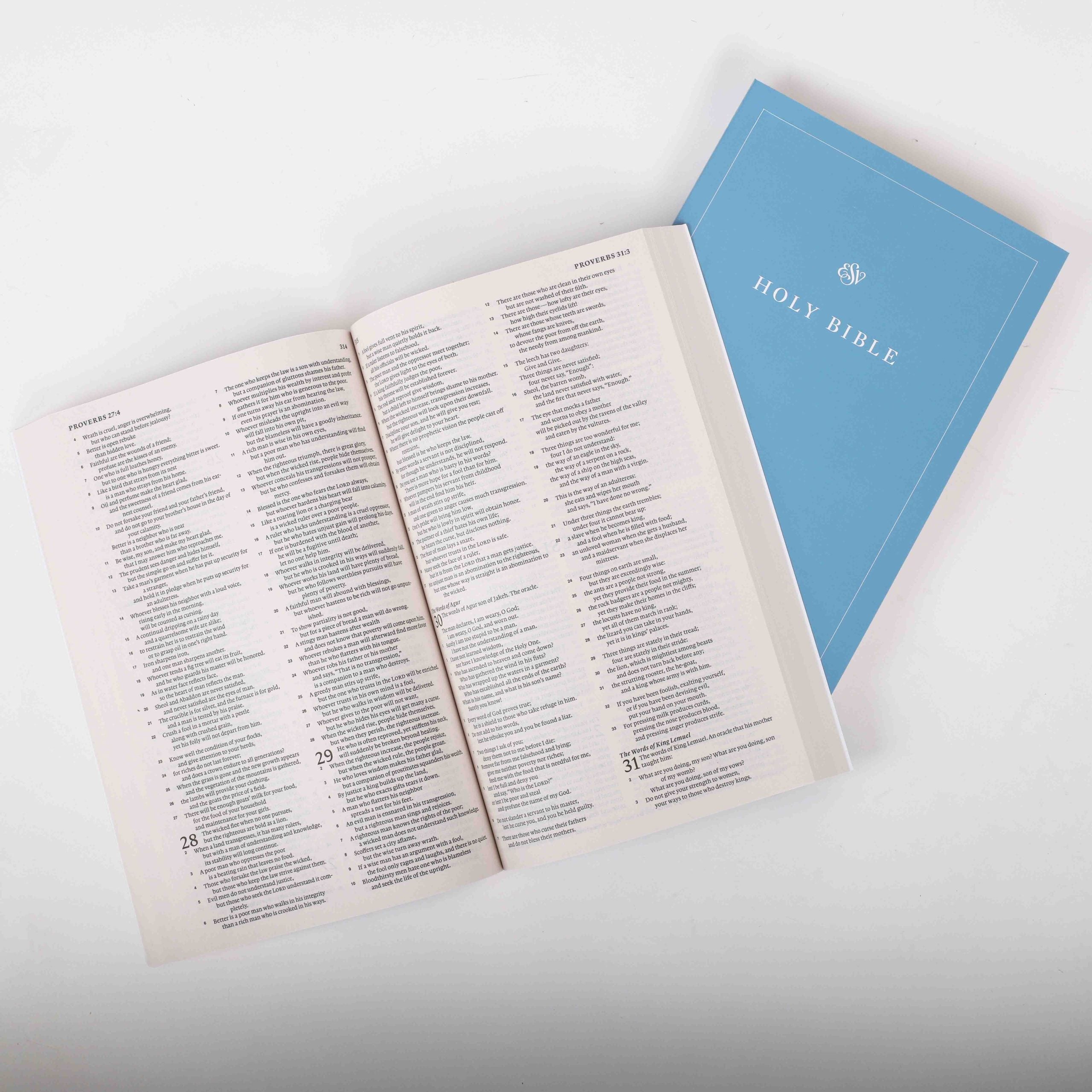 BIBLE ESV ECONOMY SOFTCOVER PK40