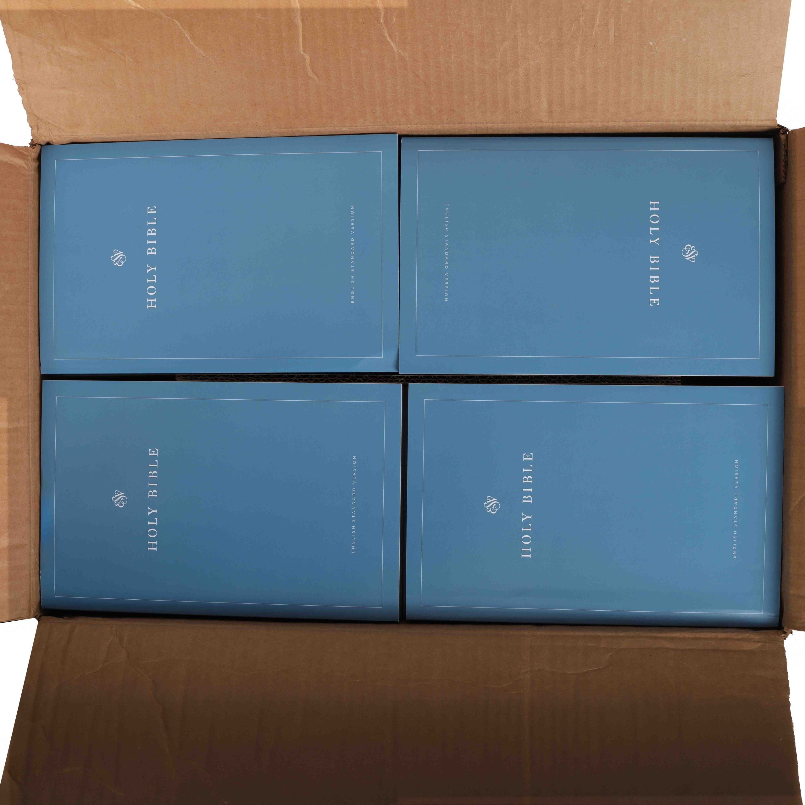 BIBLE ESV ECONOMY SOFTCOVER PK40