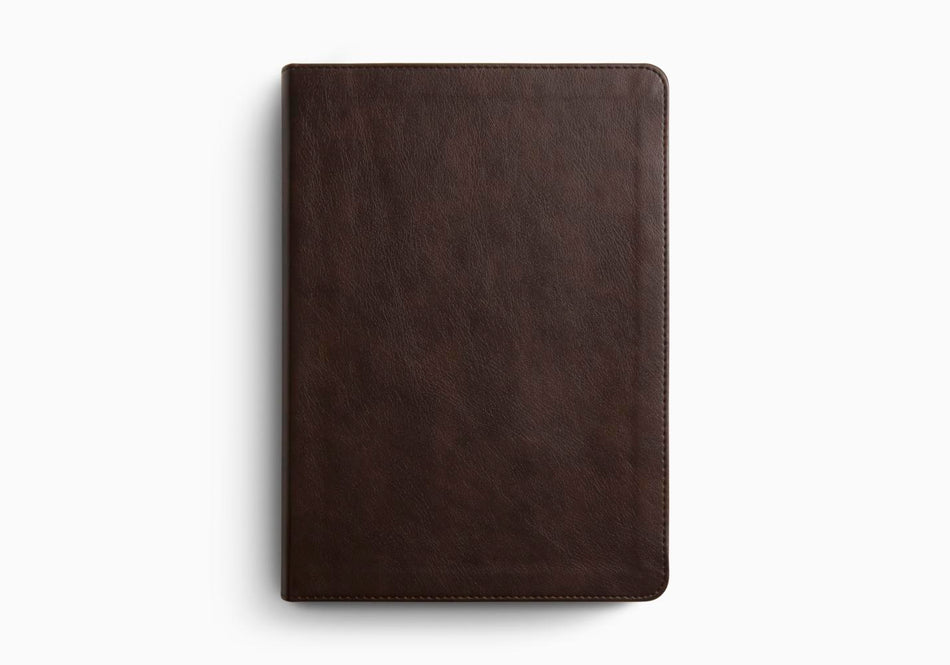 ESV Single Column Journaling Bible®, Large Print