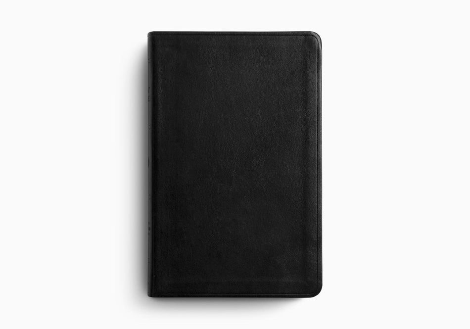 ESV Large Print Value Thinline Bible