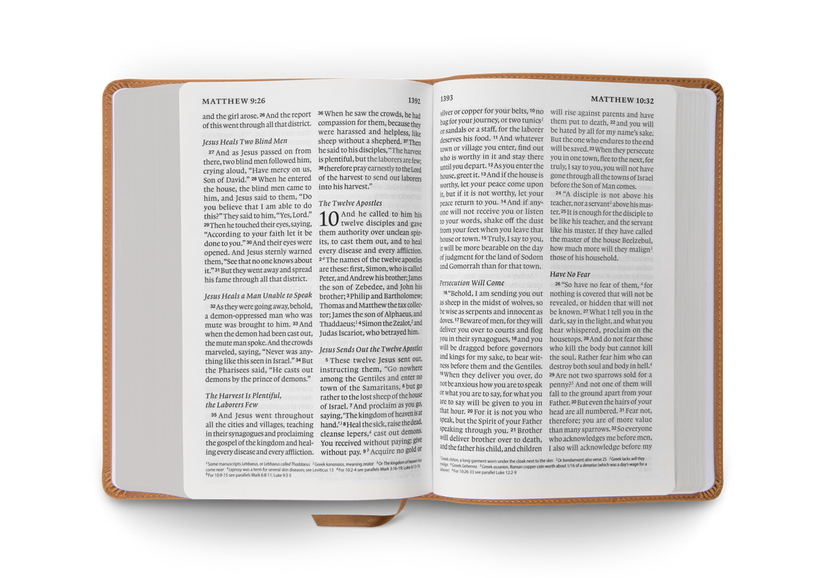 ESV Giant Print Personal Size Bible – Leather, TruTone®, Nubuck Caramel, Wildflower Design by Crossway, product view 2