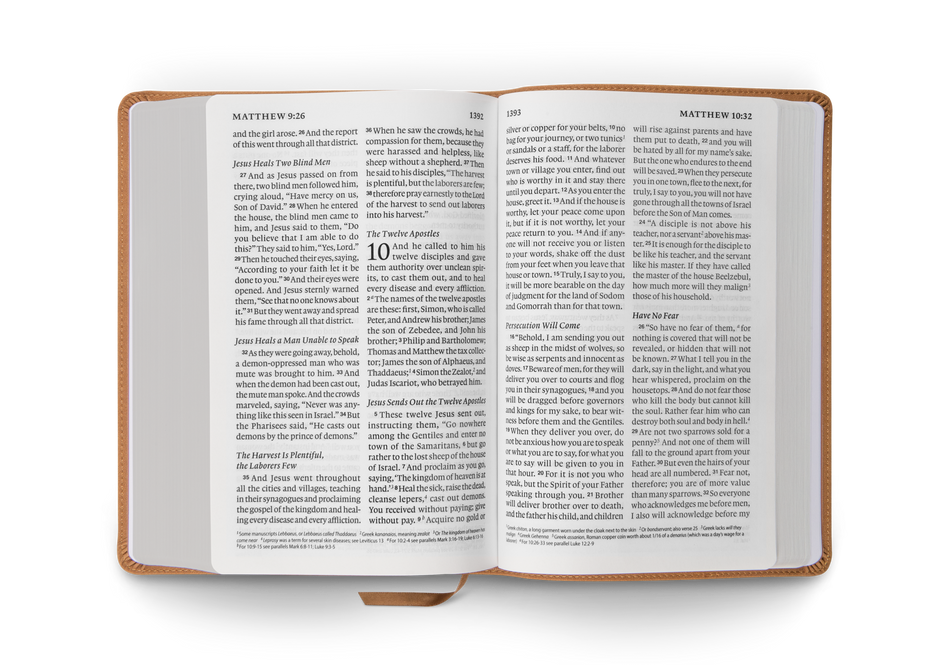 ESV Giant Print Personal Size Bible – Leather, TruTone®, Nubuck Caramel, Wildflower Design by Crossway, product view 2