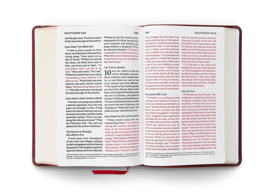 ESV Giant Print Personal Size Bible, Red Letter – Leather, TruTone®, Mahogany, Trellis Design by Crossway, product view 2