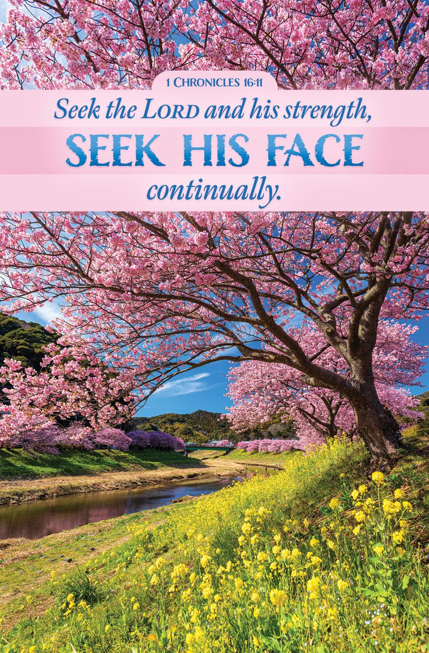 Inspirational - Seek the Lord, 1 Chronicles 16:11 (KJV) - Pkg 100 - Standard Bulletin by Anchor Christian Distributors