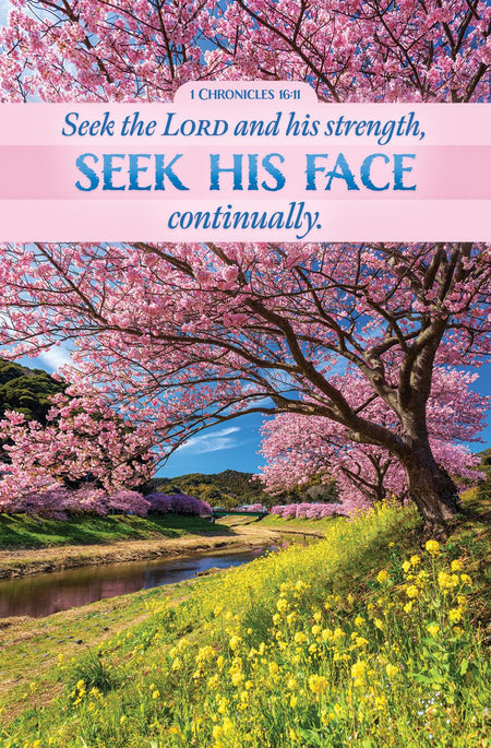 Inspirational - Seek the Lord, 1 Chronicles 16:11 (KJV) - Pkg 100 - Standard Bulletin by Anchor Christian Distributors
