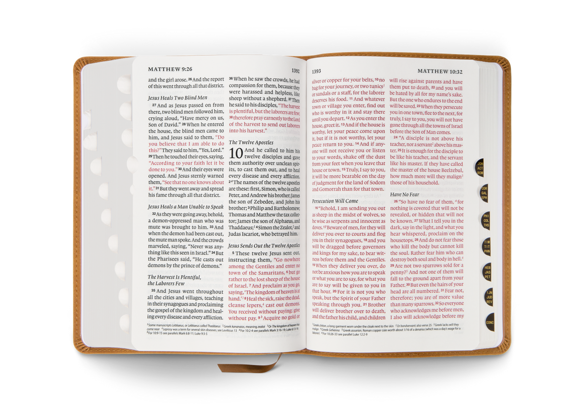 ESV Giant Print Personal Size Bible, Red Letter, Thumb Indexed by Crossway, product view 2
