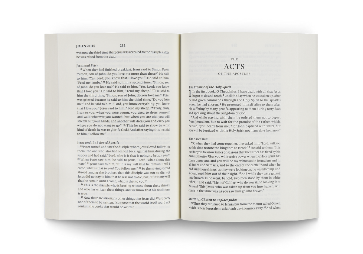 ESV New Testament, Share the Good News® Edition by Crossway, product view 2