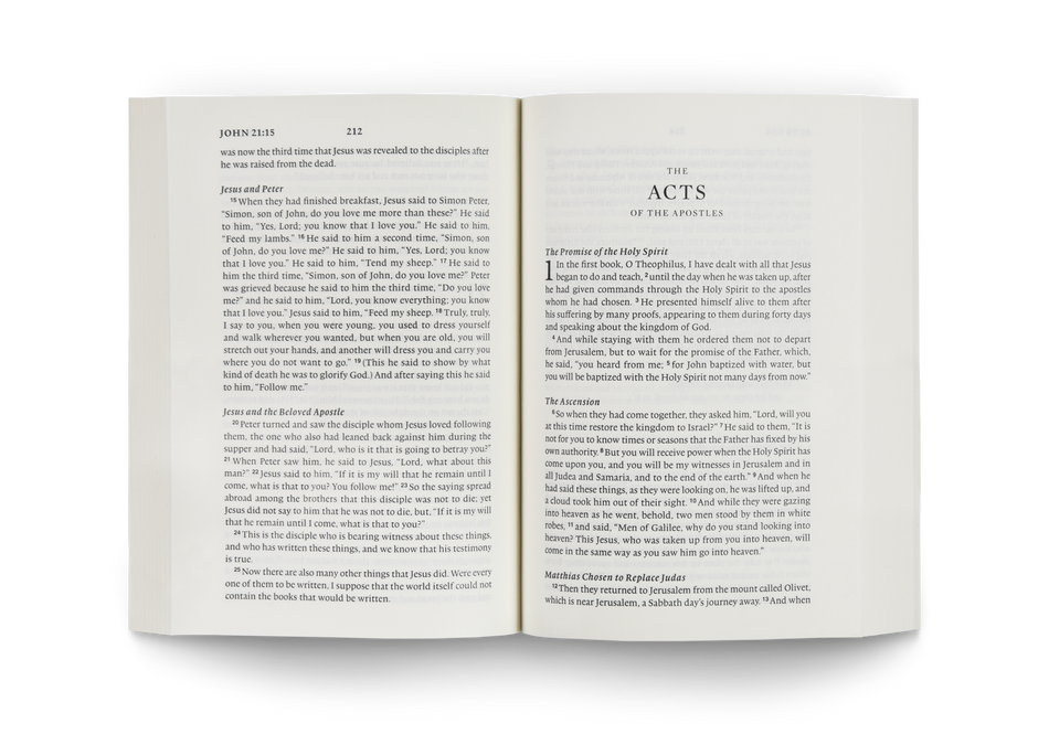 ESV New Testament, Share the Good News® Edition by Crossway, product view 2