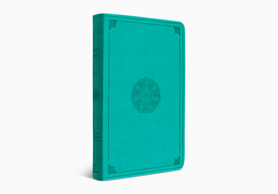 ESV Large Print Value Thinline Bible