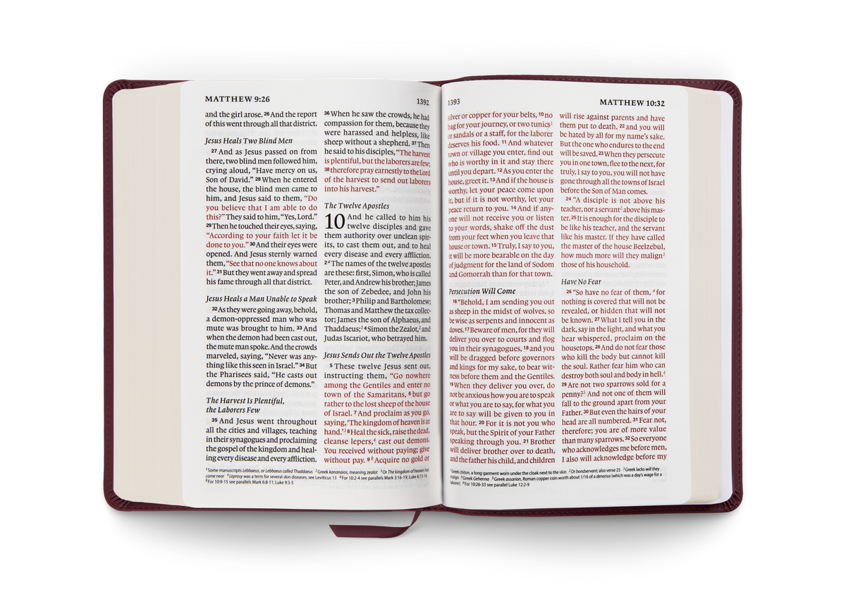 ESV Giant Print Personal Size Bible, Red Letter – Leather, TruTone®, Mahogany by Crossway, product view 2