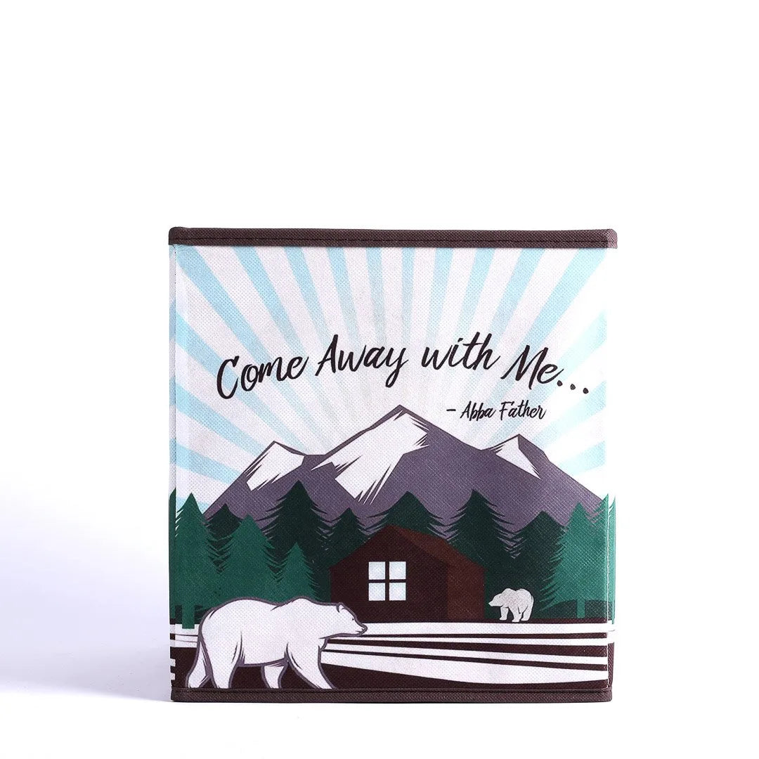 COLLAPSIBLE STORAGE BOX COME AWAY