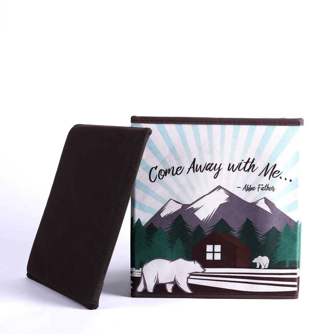 COLLAPSIBLE STORAGE BOX COME AWAY