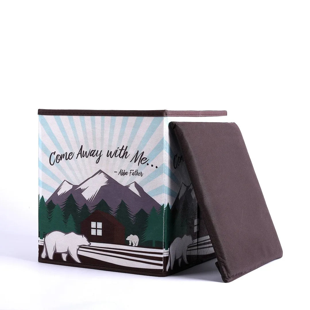 COLLAPSIBLE STORAGE BOX COME AWAY