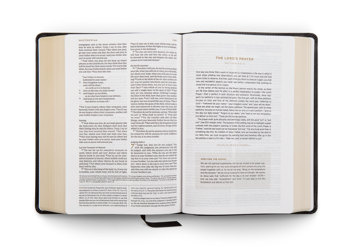 ESV Applying the Gospel Study Bible for Men by Crossway, product view 2