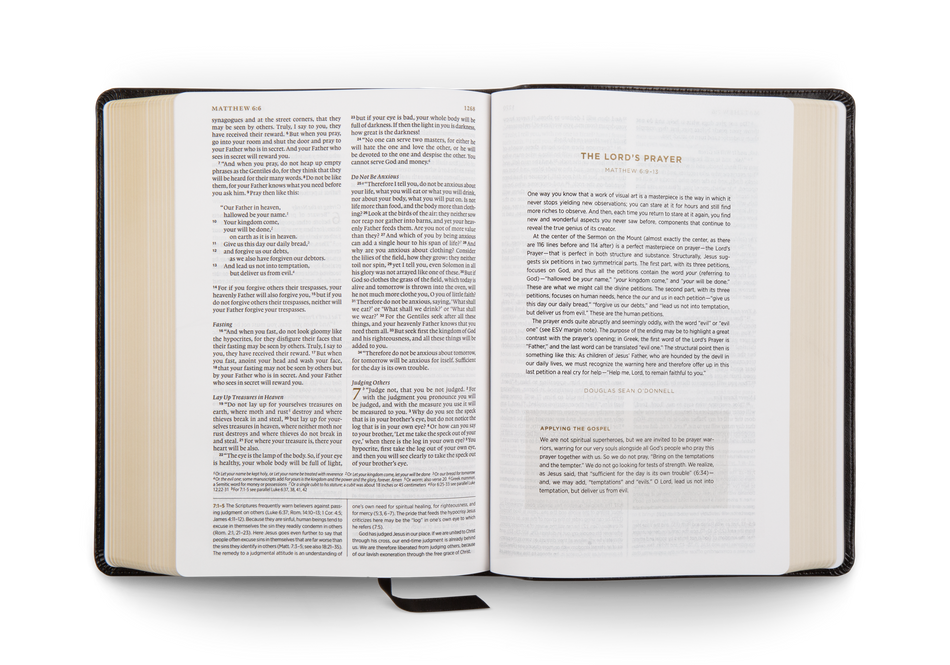 ESV Applying the Gospel Study Bible for Men by Crossway, product view 2
