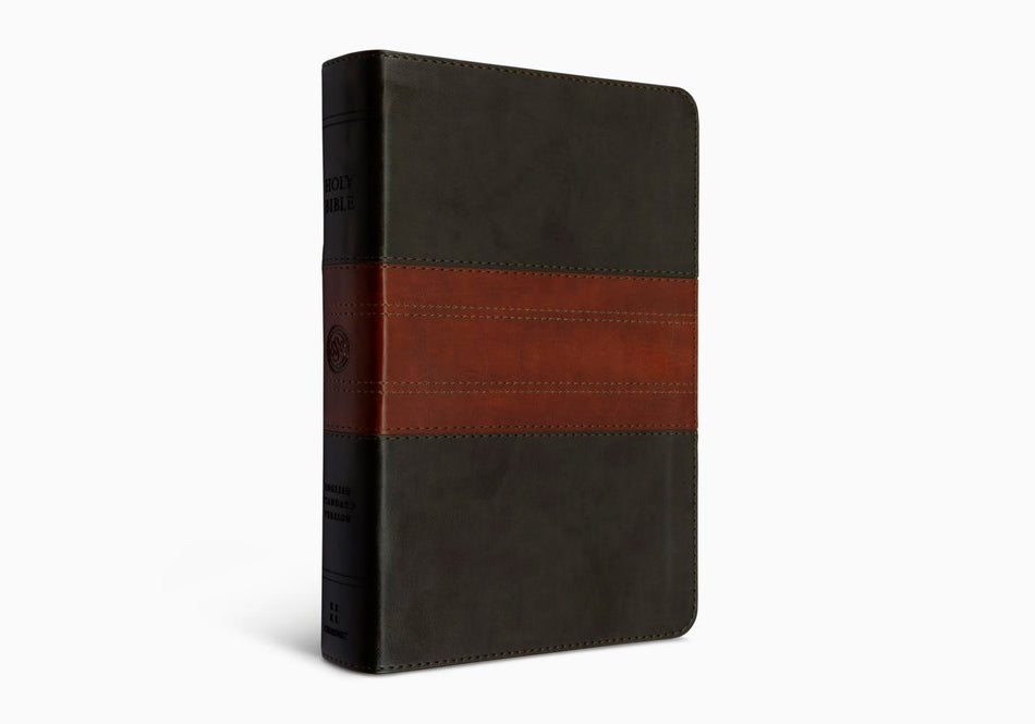 ESV Large Print Personal Size Bible, Red Letter