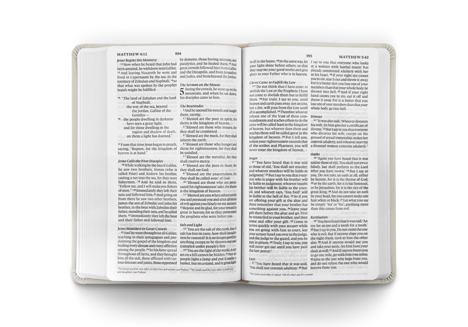 ESV Large Print Value Thinline Bible – Imitation Leather, TruTone®, River Stone, Branch Design by Crossway, product view 2
