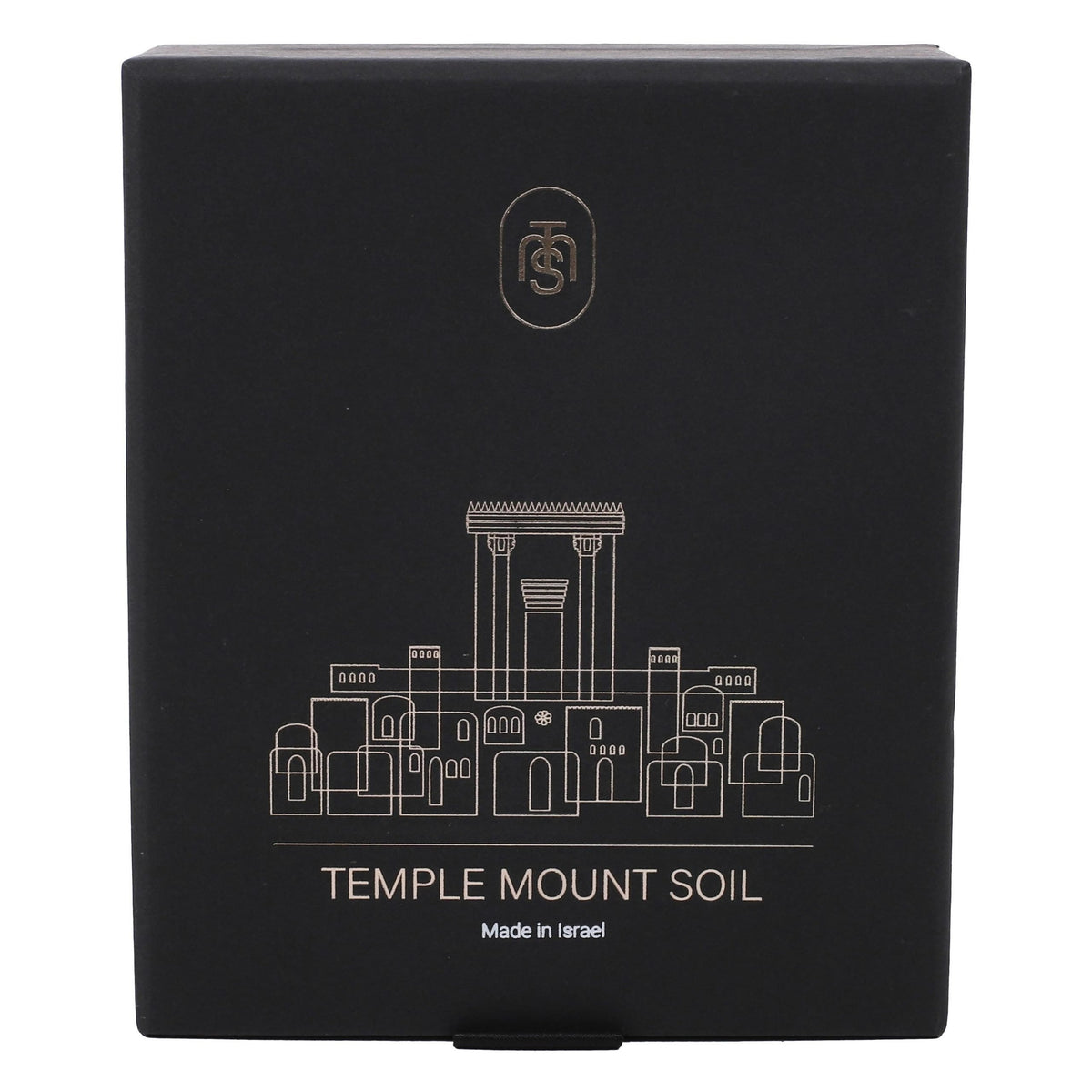 NECKLACE TEMPLE MOUNT SOIL HEART SILVER 20"