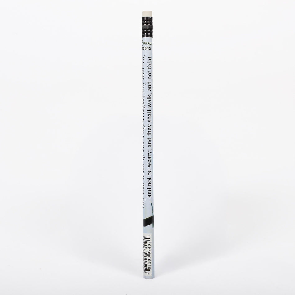 PENCIL MOUNT UP PK72