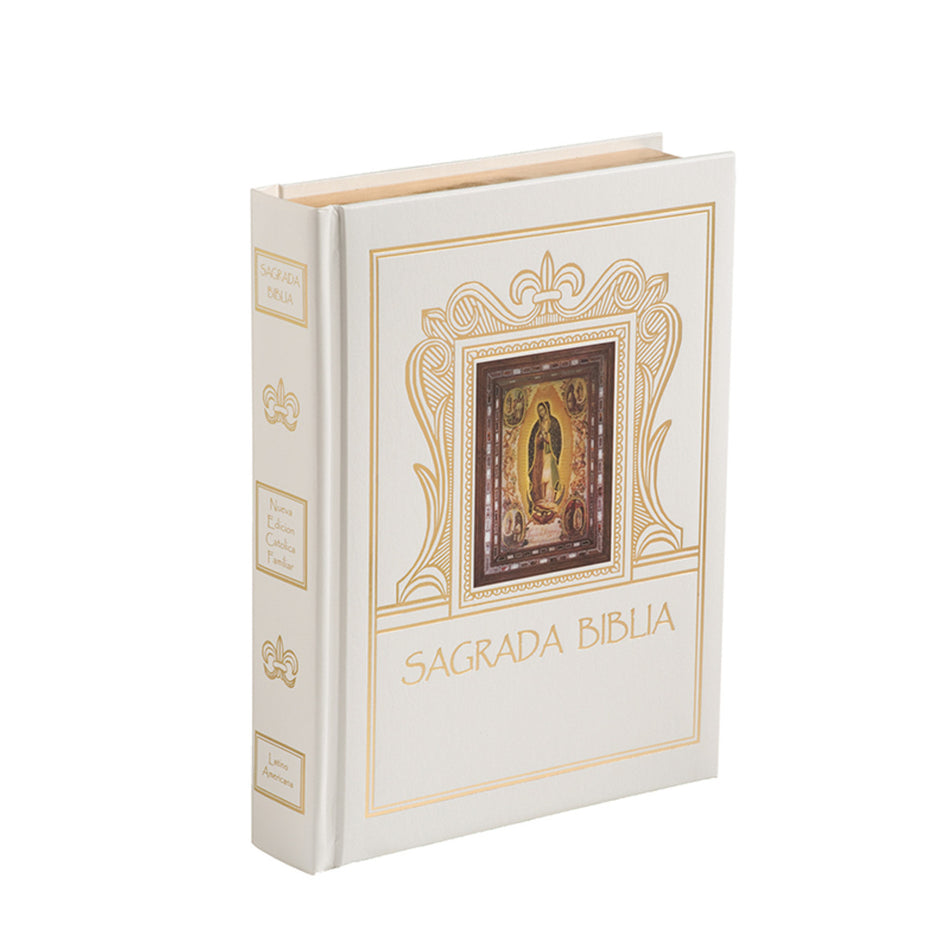 Madre de las Américas Biblia Católica Single or Case of 15