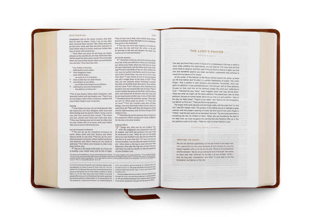 ESV Applying the Gospel Study Bible for Men – Leather by Crossway, product view 2