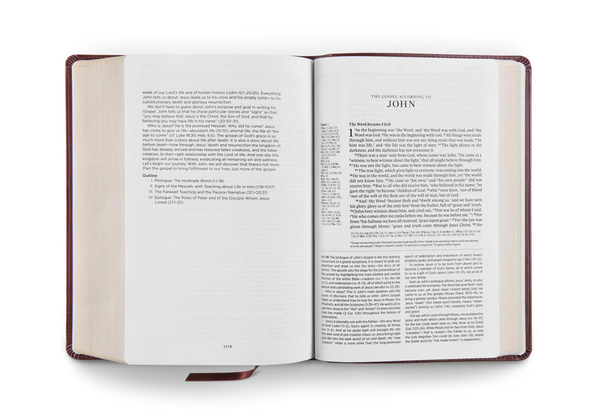 ESV Gospel Transformation® Study Bible: Christ in All of Scripture, Grace for All of Life® by Crossway, product view 6