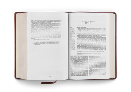 ESV Gospel Transformation® Study Bible: Christ in All of Scripture, Grace for All of Life® by Crossway, product view 6