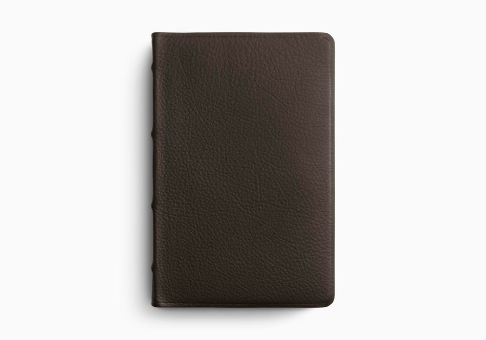 ESV Large Print Thinline Reference Bible