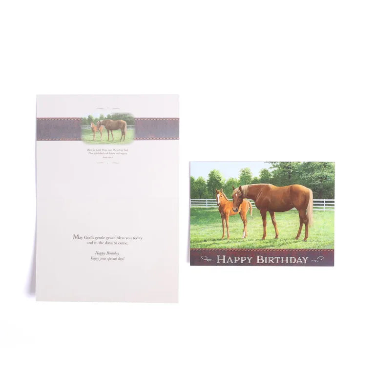 Boxed Cards – Birthday Peaceful Pastures
