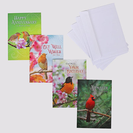 BOXED CARDS ALL OCCASION FEATHERED FRIENDS 12CT