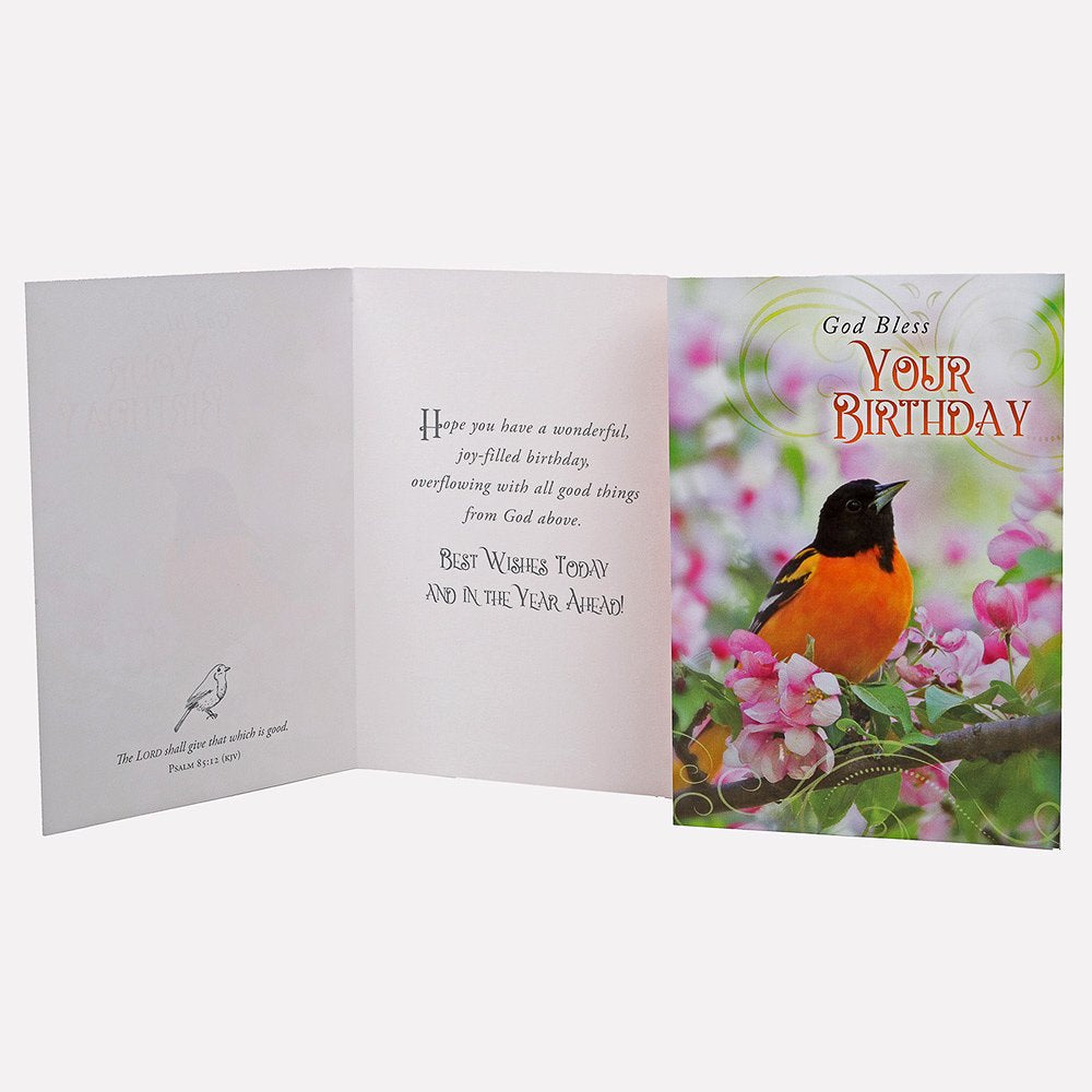 BOXED CARDS ALL OCCASION FEATHERED FRIENDS 12CT