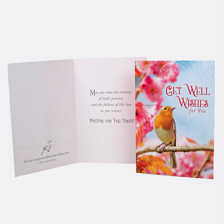 BOXED CARDS ALL OCCASION FEATHERED FRIENDS 12CT