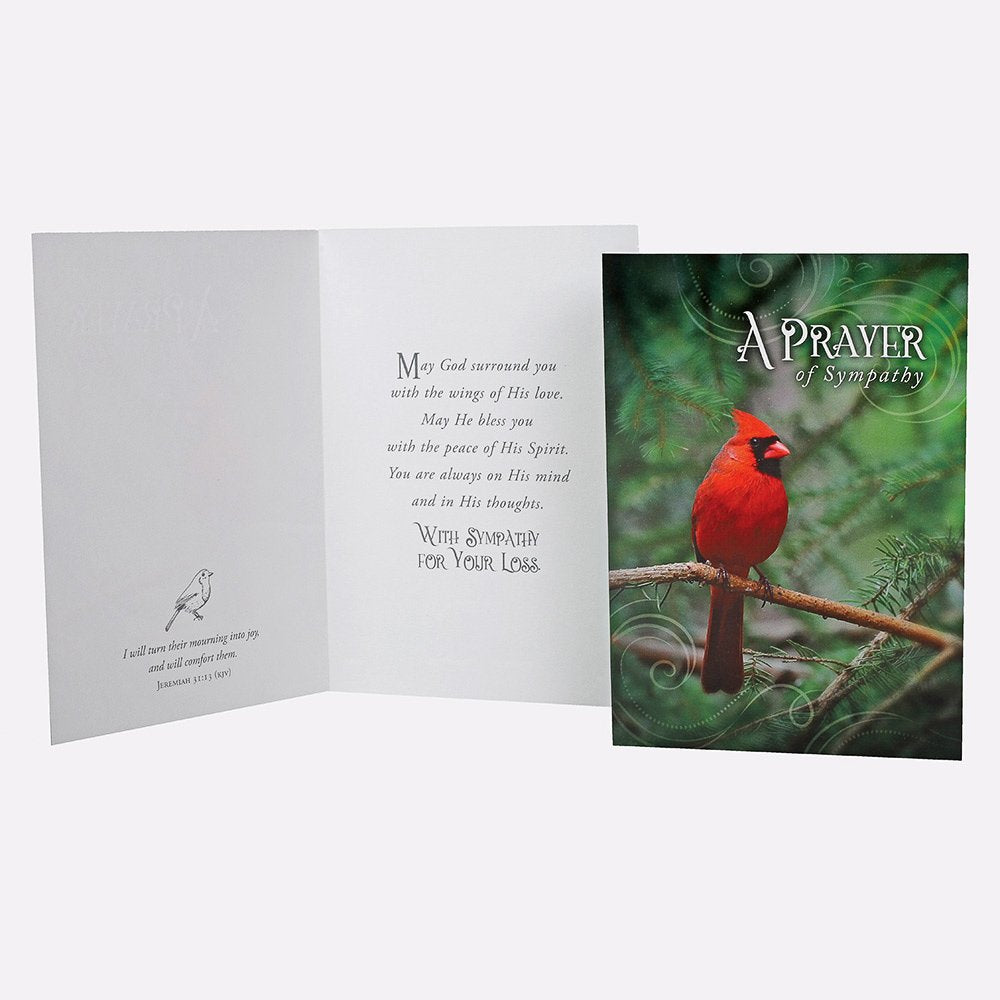 BOXED CARDS ALL OCCASION FEATHERED FRIENDS 12CT