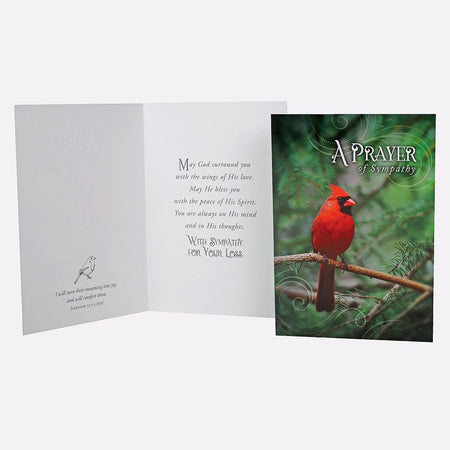BOXED CARDS ALL OCCASION FEATHERED FRIENDS 12CT