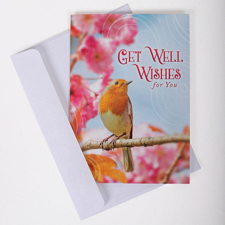 BOXED CARDS ALL OCCASION FEATHERED FRIENDS 12CT