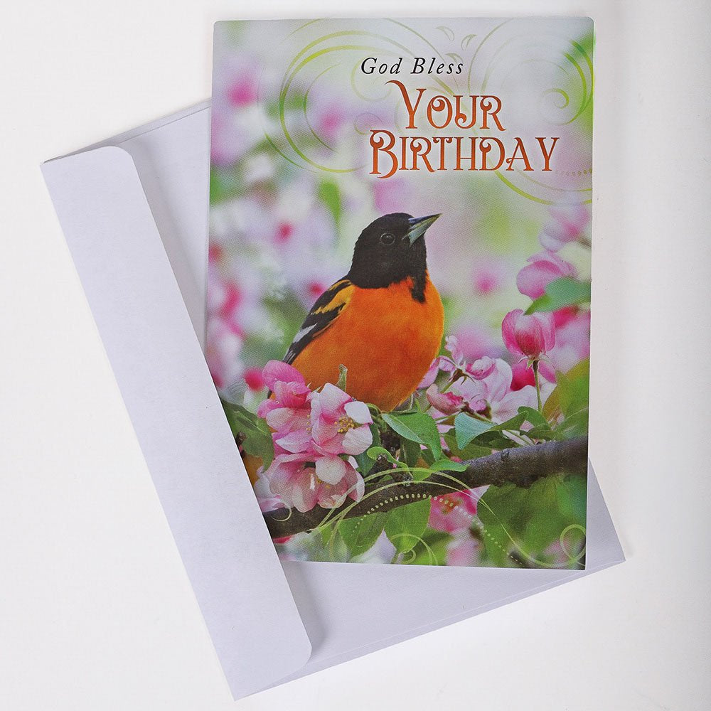 BOXED CARDS ALL OCCASION FEATHERED FRIENDS 12CT