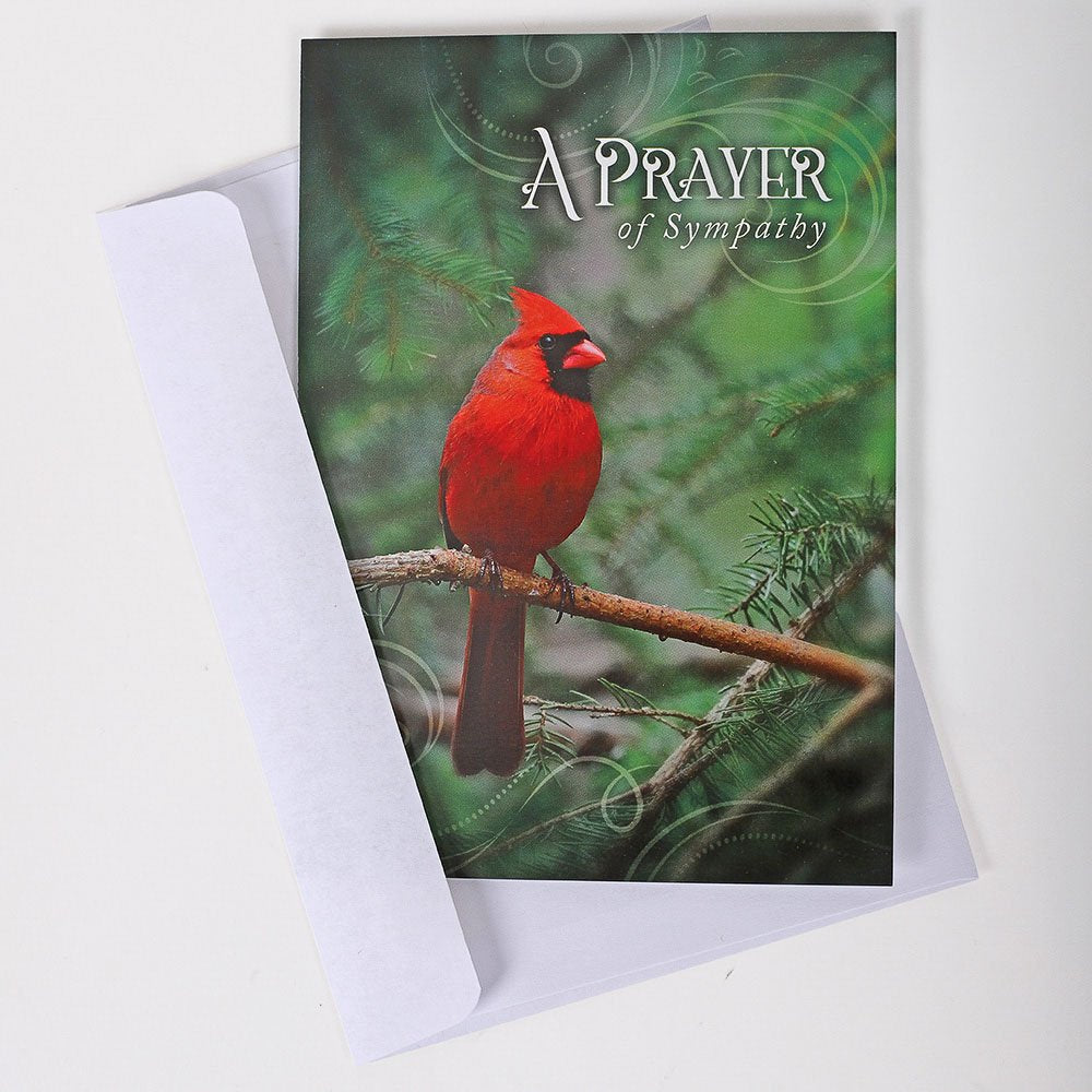 BOXED CARDS ALL OCCASION FEATHERED FRIENDS 12CT