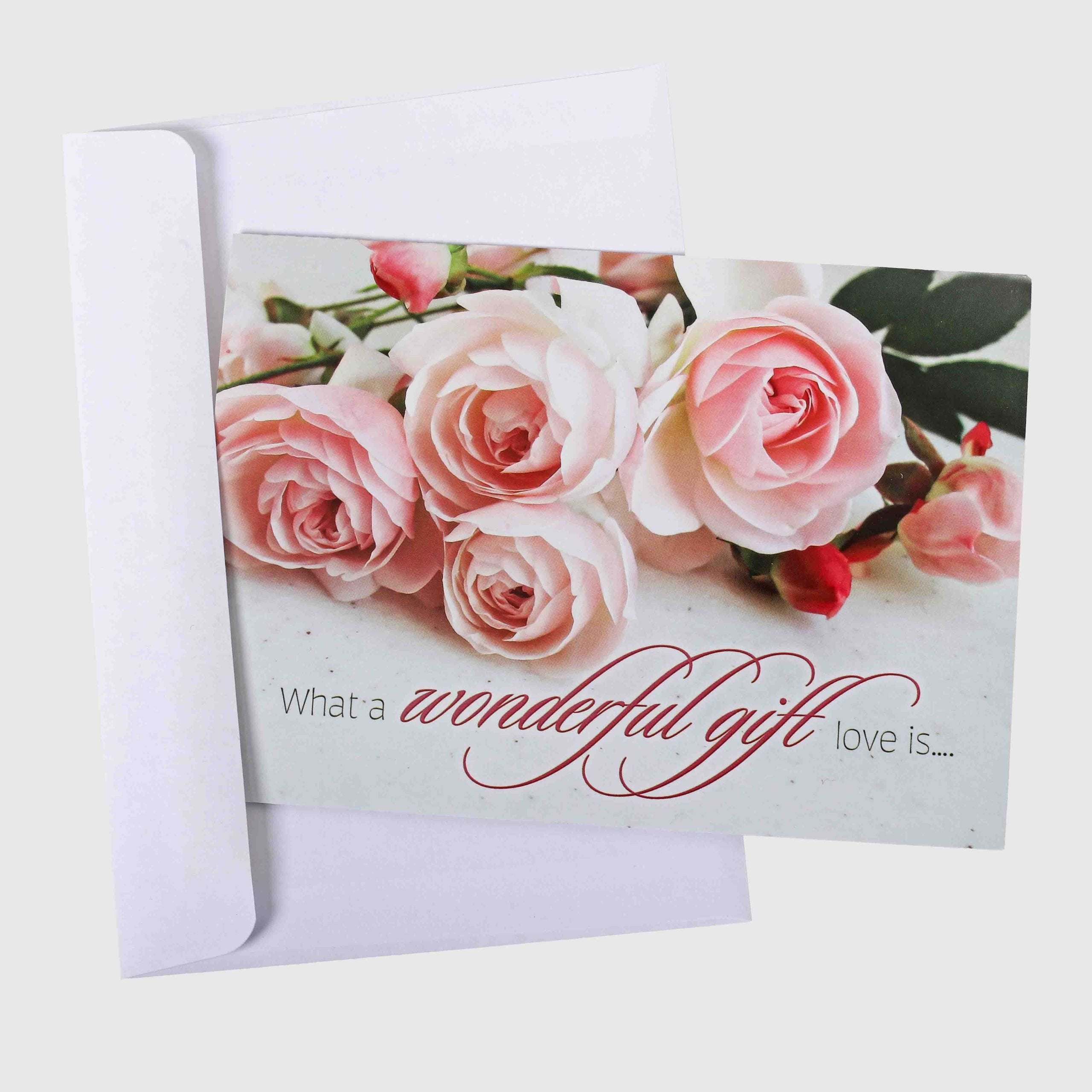 BOXED CARDS ANNIVERSARY ROSES IN BLOOM 12CT