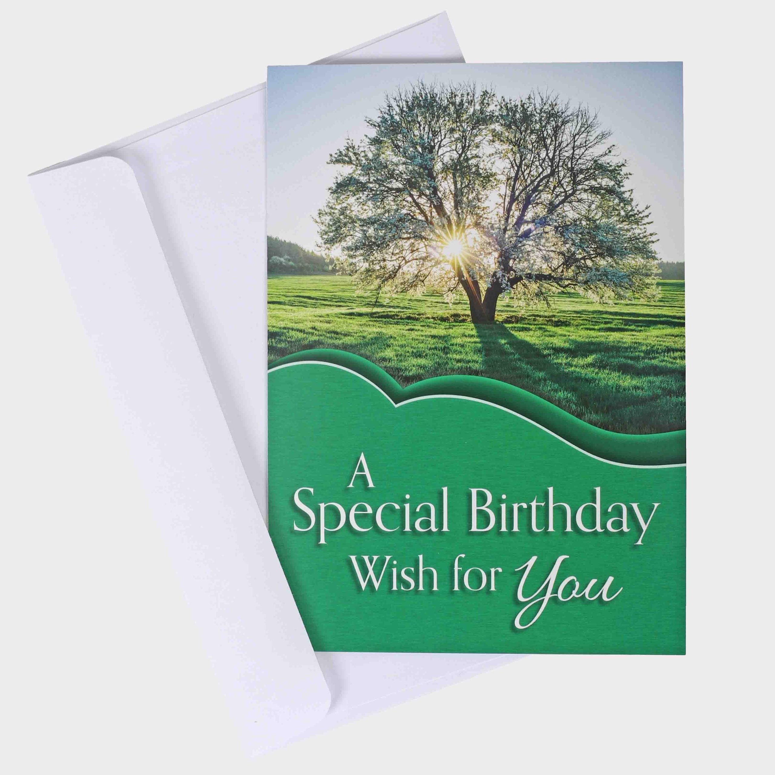 BOXED CARDS BIRTHDAY BRIGHTEST BLESSINGS 12CT
