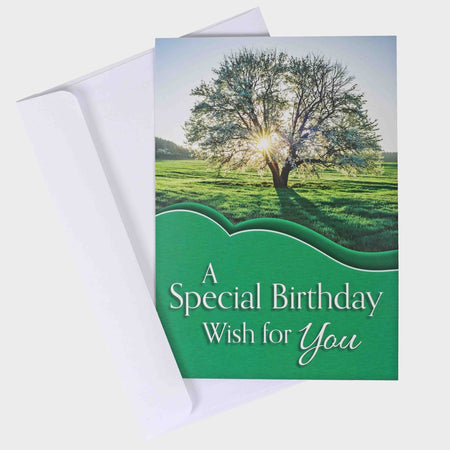 BOXED CARDS BIRTHDAY BRIGHTEST BLESSINGS 12CT