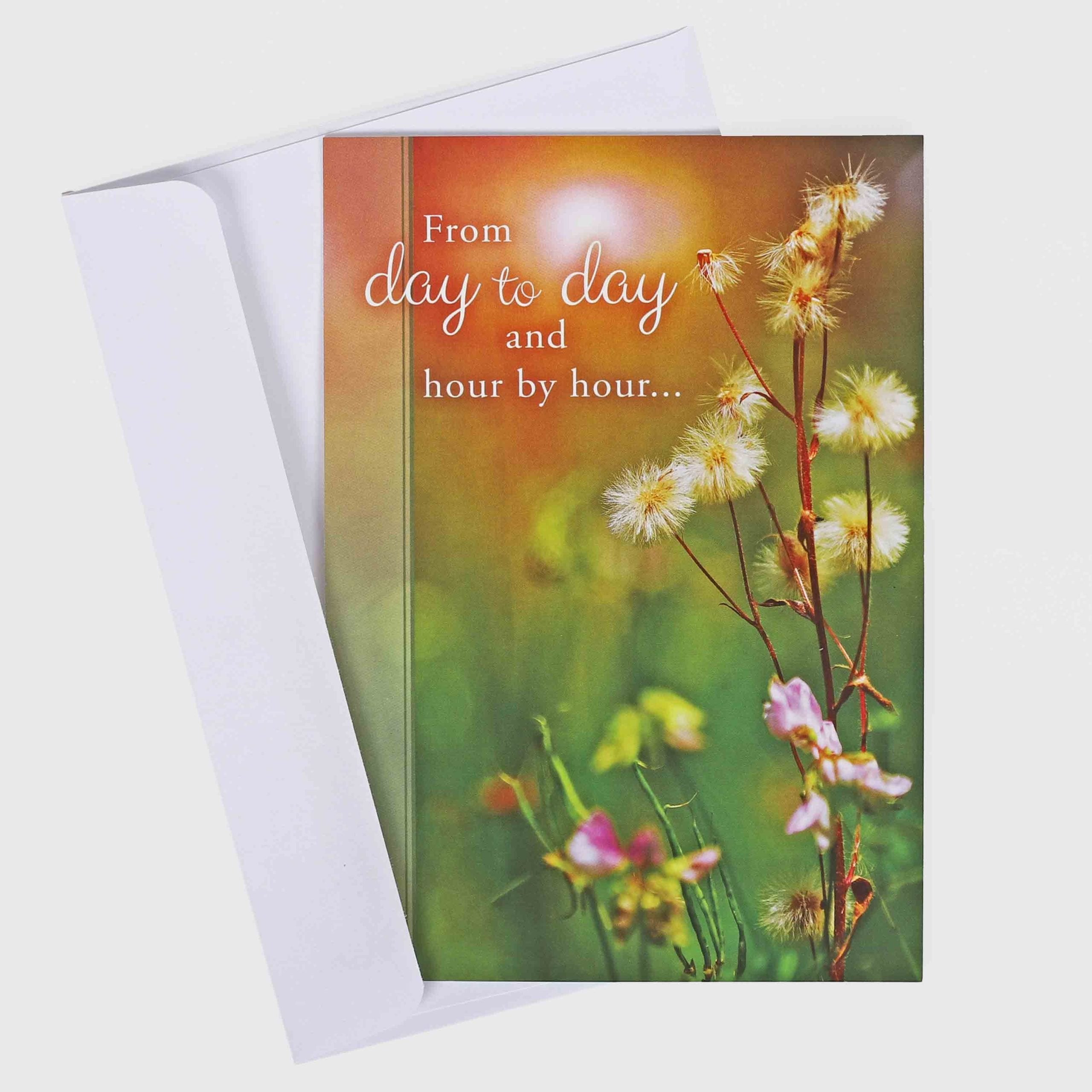 BOXED CARDS ENCOURAGEMENT DAY BY DAY 12CT