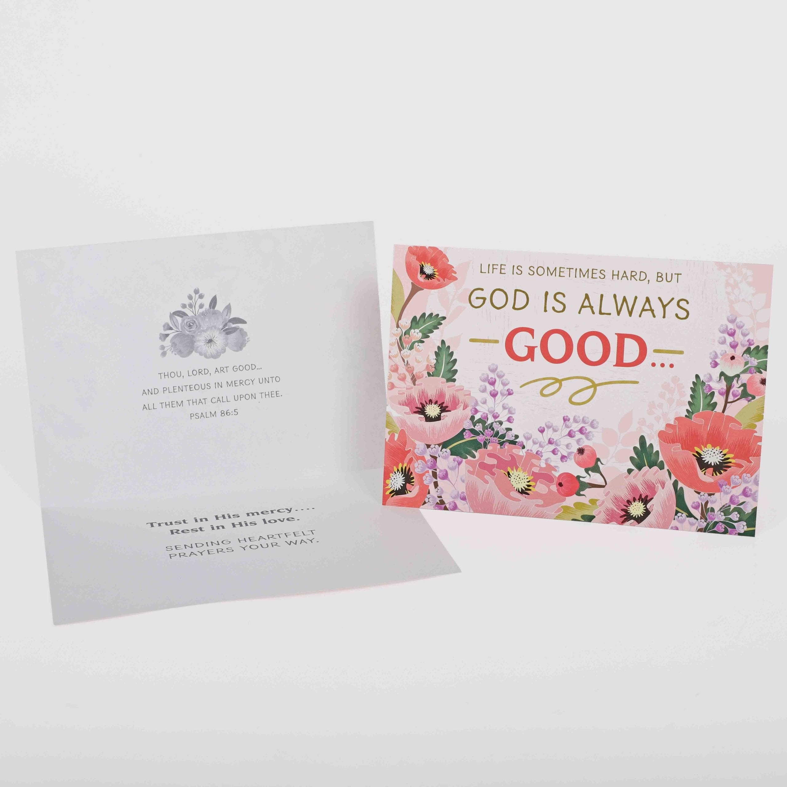BOXED CARDS ENCOURAGEMENT HOPE IN GOD'S PROMISES 12CT