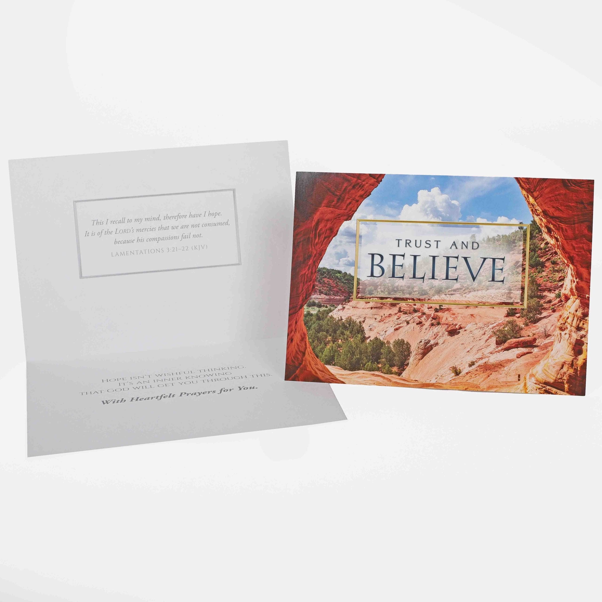 BOXED CARDS PRAYING FOR YOU NATURE'S SPLENDOR 12CT